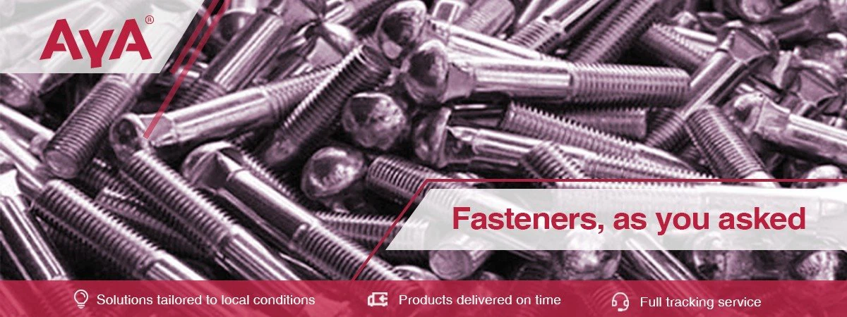 Stainless Steel Round Head Bolts